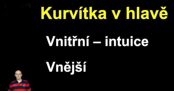 Online kurz Kurvítka v hlavě aneb Proč i chytří lidé jednají hloupě