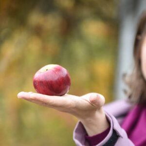 Online kurz Ulcerózní kolitida a Crohnova choroba - jak žít a jíst kvalitně